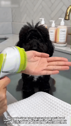 Facilitez le bain des chiens et des chats